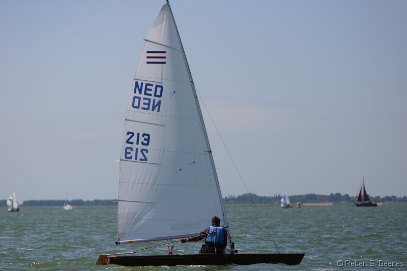 NED213-001 
