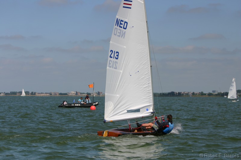 NED213-003 