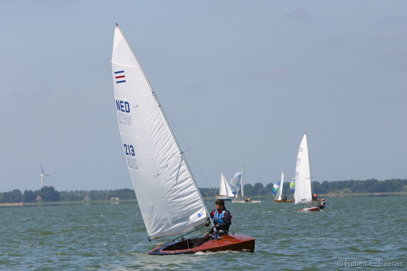 NED213-004 