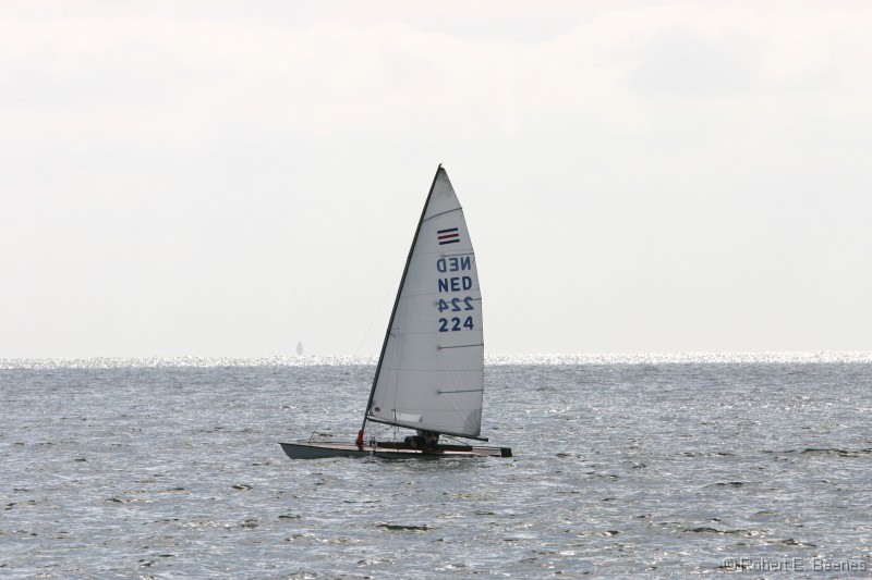 NED224-001 