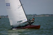 NED222-001 