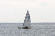 NED224-001 
