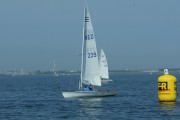 229-001
