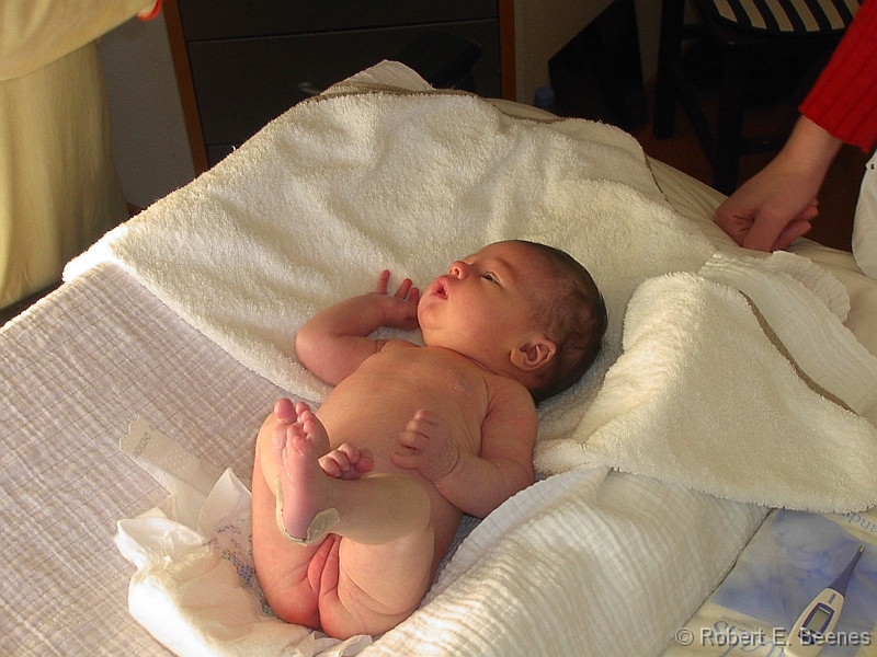 PICT0059