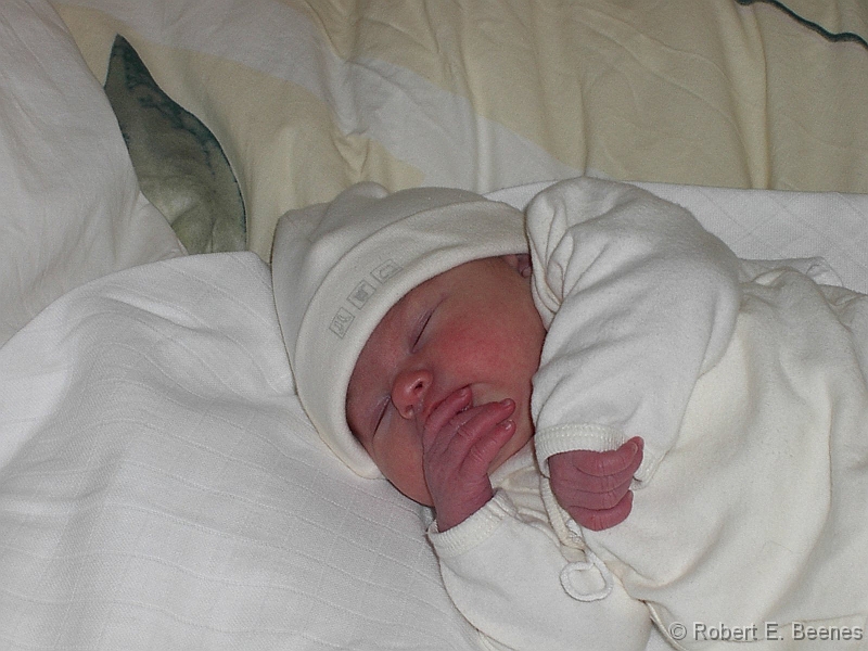PICT0086