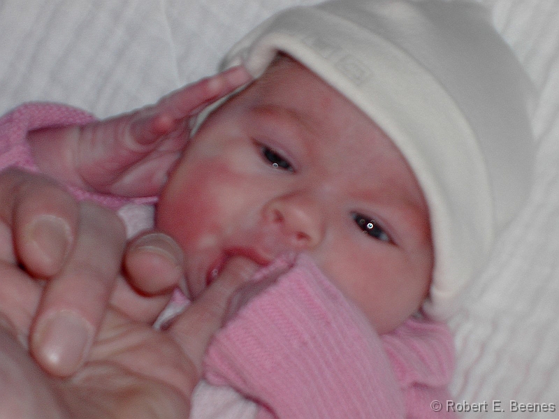PICT0087