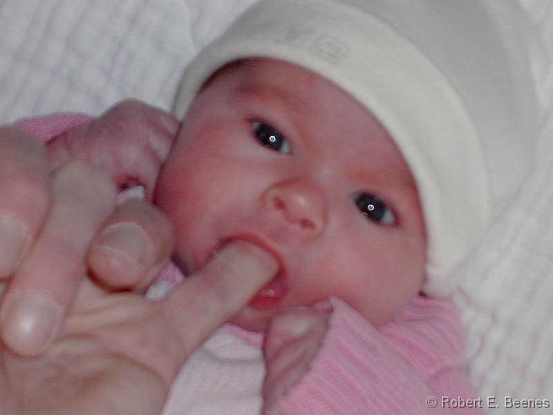 PICT0089