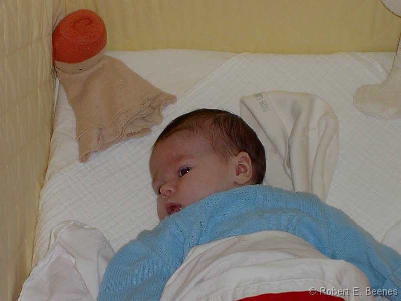 PICT0097