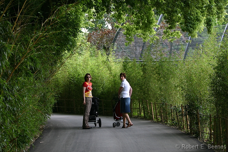 IMG_9603