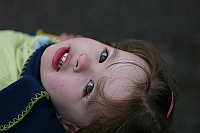 2006